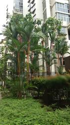 Modena (D18), Condominium #140950822
